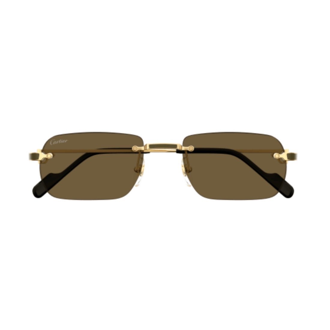 Cartier CT0498S-005 55mm