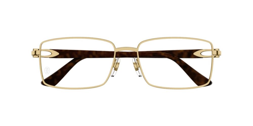 Cartier CT0520o-002 58mm