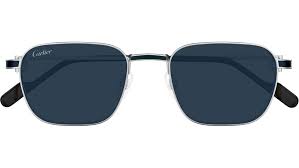 Cartier CT0497S-009 54mm