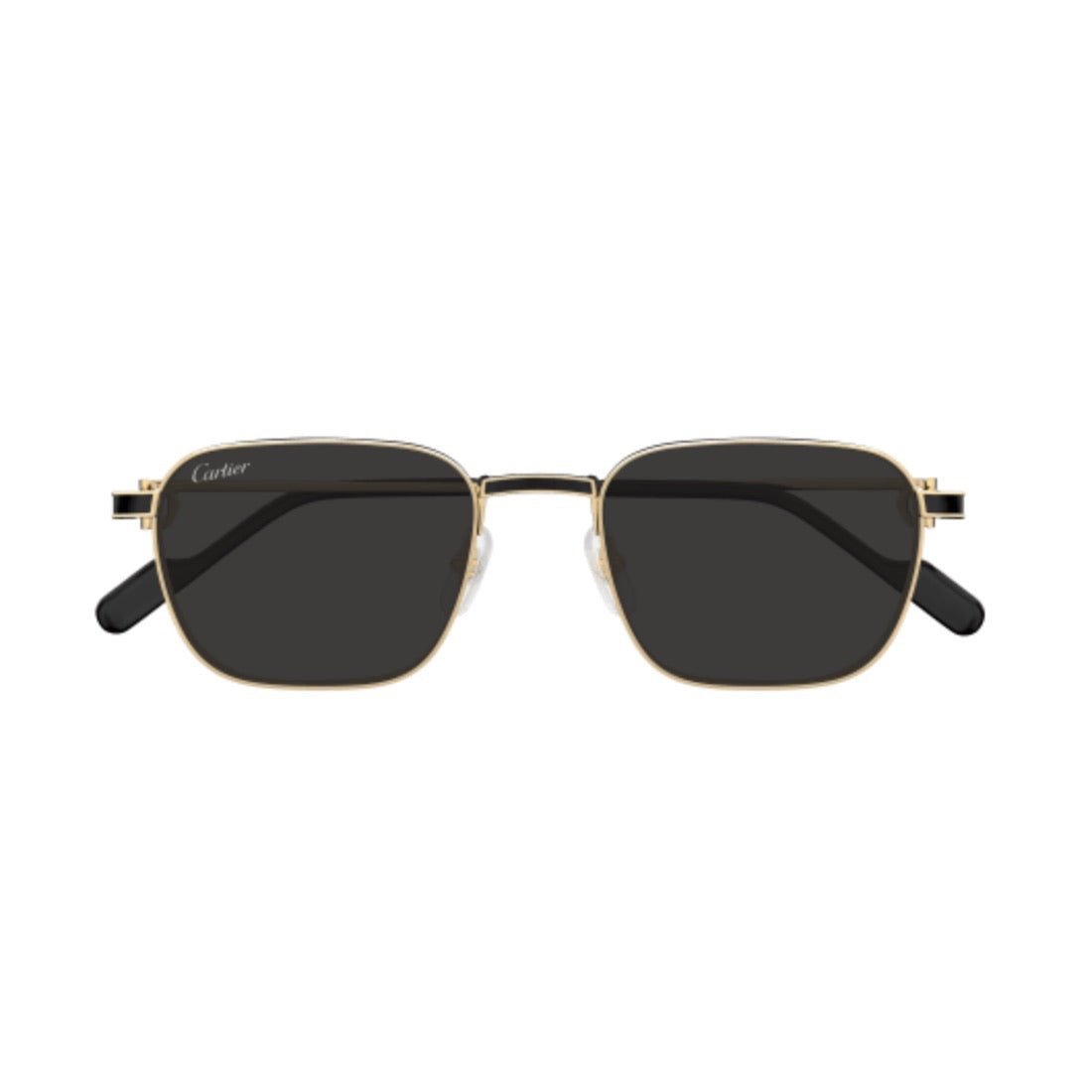 Cartier CT0497S-006 54mm