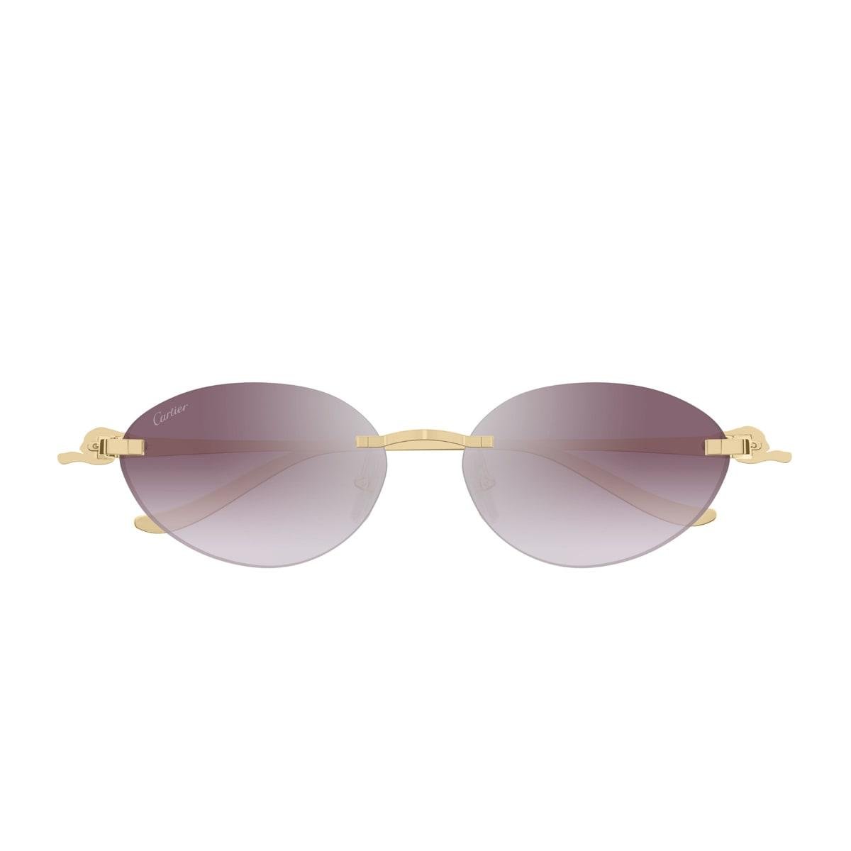 Cartier CT0504S-004 58mm