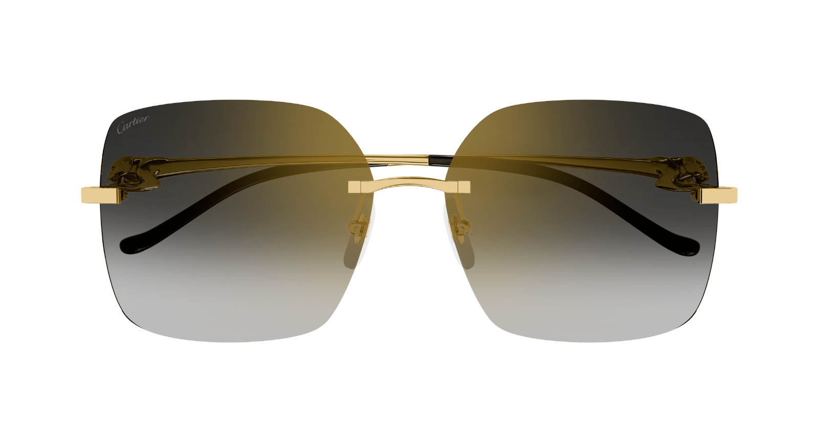 Cartier CT0359S-001 60mm